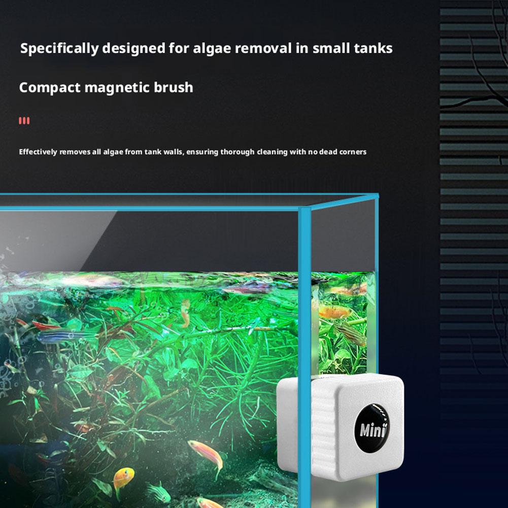 Magnetic Aquarium Glass Cleane - Marine Aquarium Glass Scraper ulasan dan harga