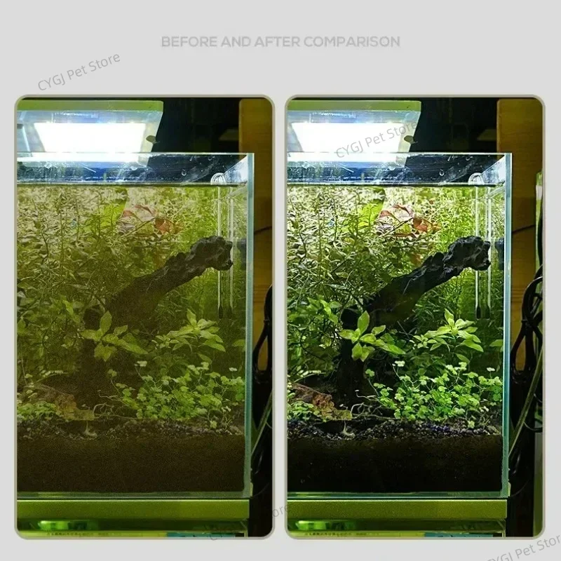 Fish Tank Cleaning Tool Flat S - Marine Aquarium Glass Scraper ulasan dan harga