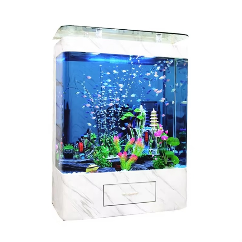Marine 200 Gallon Glass Fish A - Marine Aquarium Live ulasan dan harga