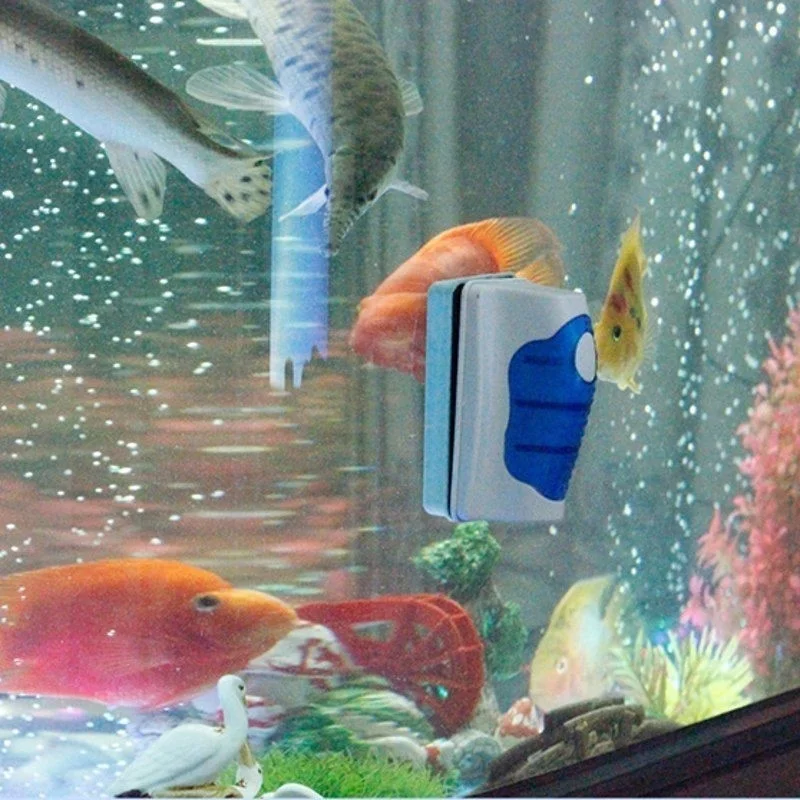 Fish Tank Glass Scraper Cleane - Marine Aquarium Glass Scraper ulasan dan harga