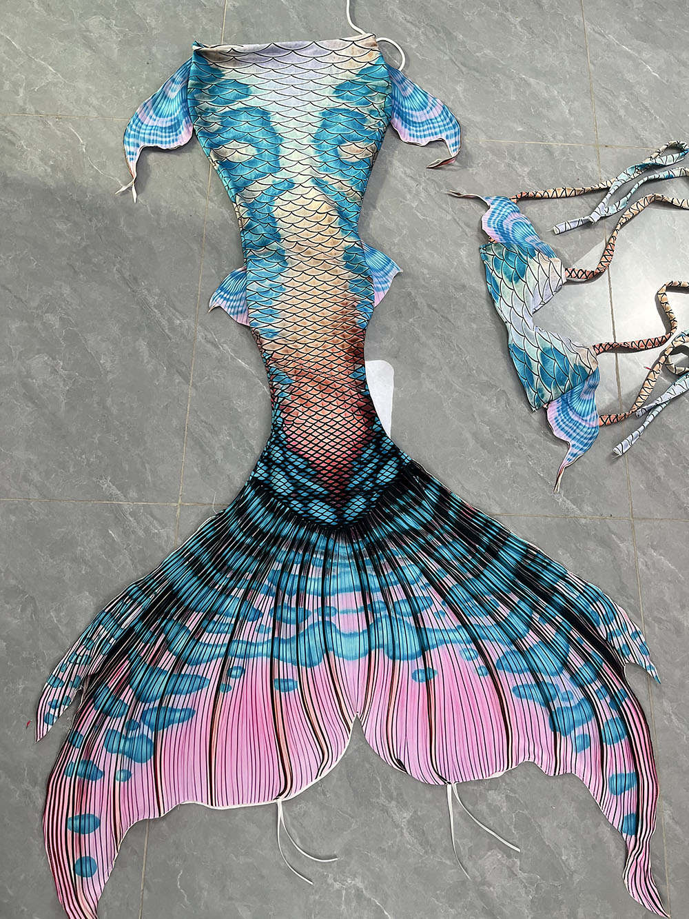 Colorful Dreamy Mermaid Tail A - Aquarium Marine ulasan dan harga