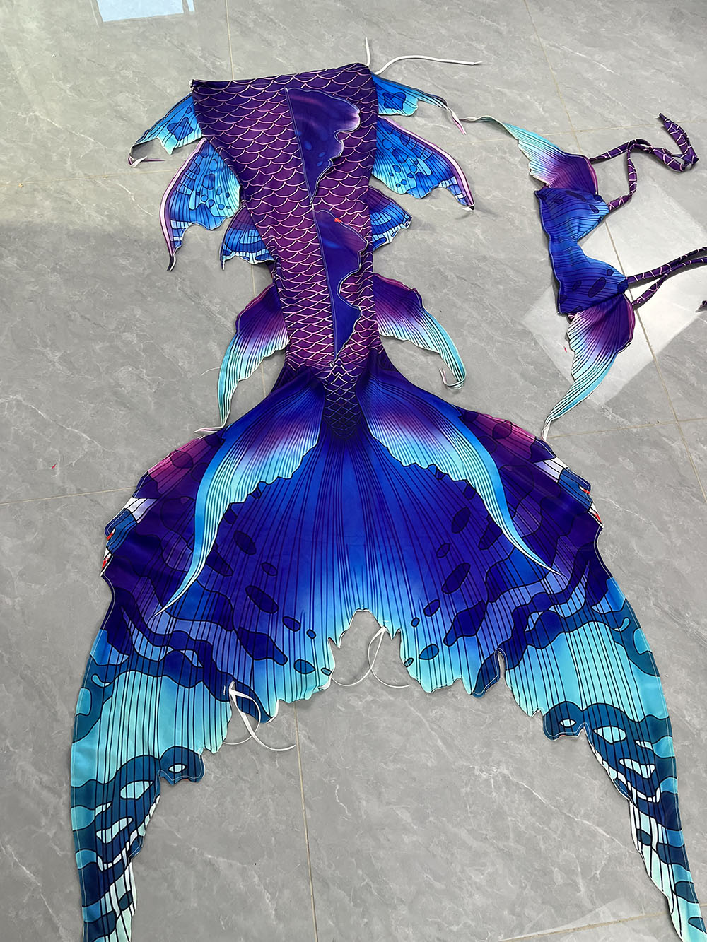Colorful Dreamy Mermaid Tail A - Aquarium Marine ulasan dan harga