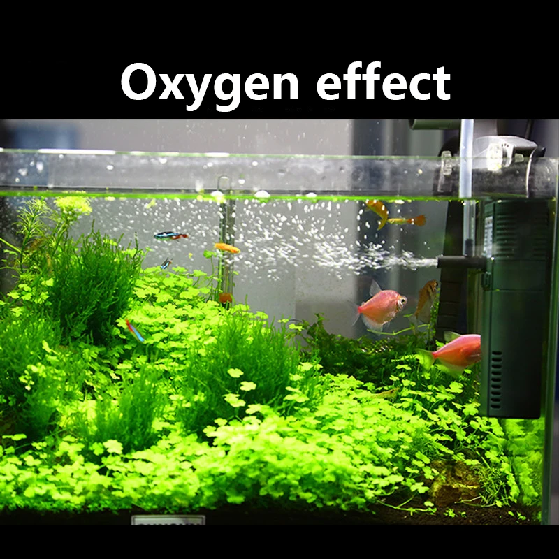 SUNSUN mini nano 111B 311B 611 - Aquarium Blue Marine Reef 60 ulasan dan harga